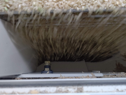 【令和６年道産一等米ゆめぴりか５kg】