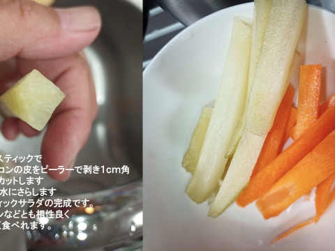 【究極野菜】土付きヤーコン 20kg  高知県産 毎日のサラダに是非取り入れてください