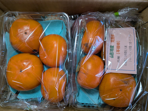 柿とリンゴの加工原料箱詰め