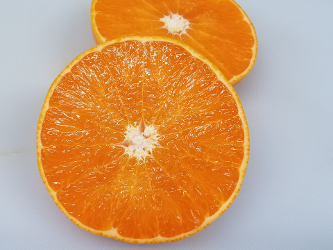 【数量・期間限定】愛媛の方にも大人気！ 愛果２８号 贈答用3kg
　　興居島が誇る濃厚な果汁が口いっぱいに広がりとろけるようなくちどけ！　【12/1～随時出荷】