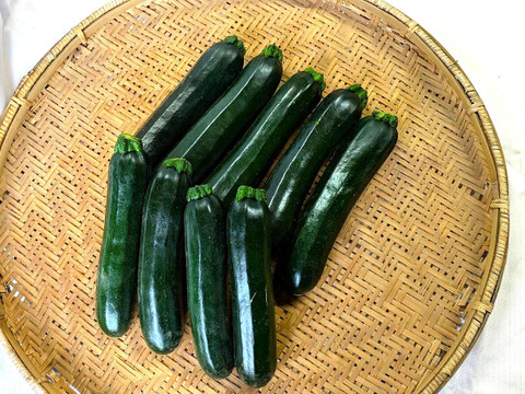 【埼玉県産】今が旬‼お徳用ズッキーニ　(8~9本　約2.5㎏)