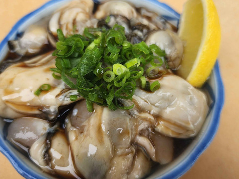 生食用 殻付き牡蠣4kg 宮城県松島産  お歳暮 お中元 熨斗対応可 殻付き 無選別 牡蠣 カキ バーベキュー BBQ 海鮮物 漁師直送