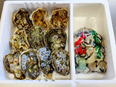 春牡蠣✨【加熱用】殻付き牡蠣10ヶ＋【加熱用】むき身700ｇ「熨斗対応可」