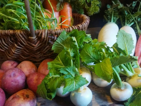 自然栽培野菜セット
北海道、沖縄、北東北、離島のお客様専用