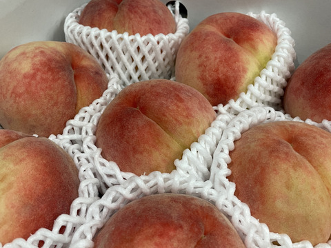 あかつき桃  夏桃の定番  お値下しました！！　ご好評販売中　訳あり　ご家庭専用コース　2.8キロ