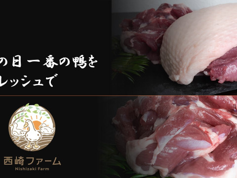 プレミアムかすみ鴨半身セット（即日発送・冷蔵）※1羽/日限定