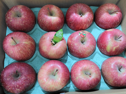 食べきりサイズの小玉です❗個性派りんご🍎葉隠れサンふじ  （12個～14個）3キロ箱使用