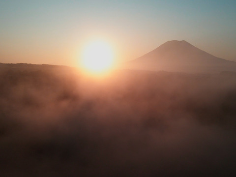 ☆朝採り！グリーンアスパラ1kg☆【北海道産】サイズM-２L混