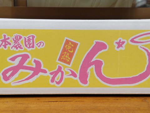 「柑橘食べ比べ」せとか&不知火約5キロ
