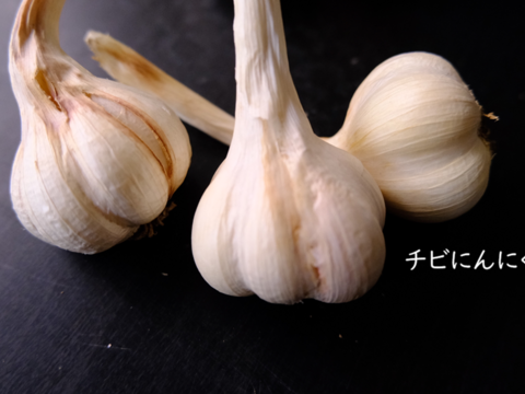 我が家用 不揃い訳あり有機にんにく約1kg