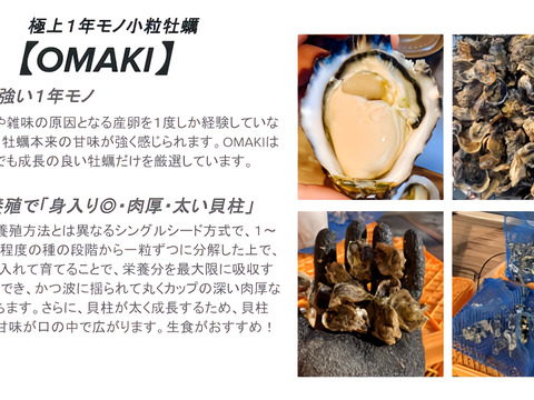 甘みと濃厚さ抜群の極上牡蠣！【OMAKI】10個入り