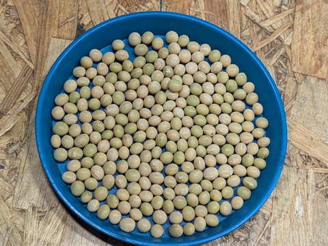 有機青大豆 「合わせ買い（同梱）用」大袖の舞 900g  北海道十勝 “豆のまち”本別町 2025年産　オーガニック