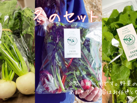 信州をお試し【旬彩野菜】BOX２～3人前　クリスマスパーティーにも！サラダリーフミックス140g1パック＋季節野菜1～2品。無施肥栽培・長野県安曇野産