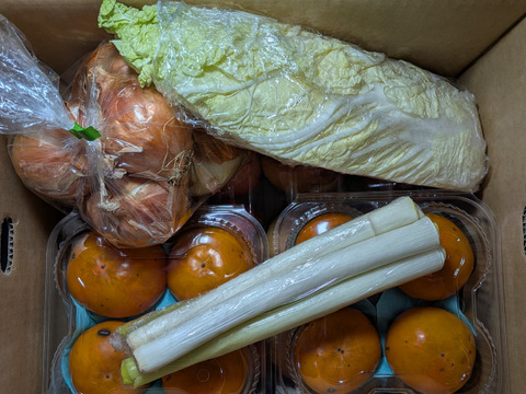 リンゴ、柿、ハクサイ、タマネギ、ネギ