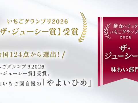 【食べ比べ】【いばらキッス・やよいひめ】茨城県産いちご 2パック×１箱
「食べチョクいちごグランプリ2026 」味わい部門「ザ・ジューシー賞」受賞【やよいひめ】含む