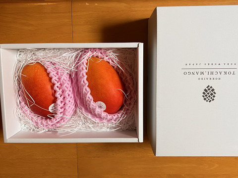 【冬ギフト】北海道真冬のマンゴー「十勝マンゴー」2Lサイズ2玉セット（箱入れ）