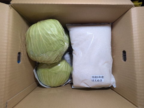 キャベツ、アスパラ菜、お米、リンゴ