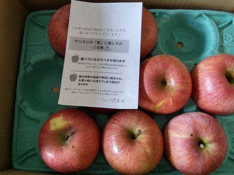 【2023年産予約！】サンふじ 訳あり 約3kg 7-14玉　12月発送開始予定 #YAF0B030