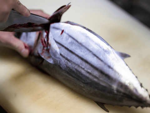 【日戻りケンケン漁】静岡県遠州灘産カツオ極藁燻し１節【外は燻製、中はレア】