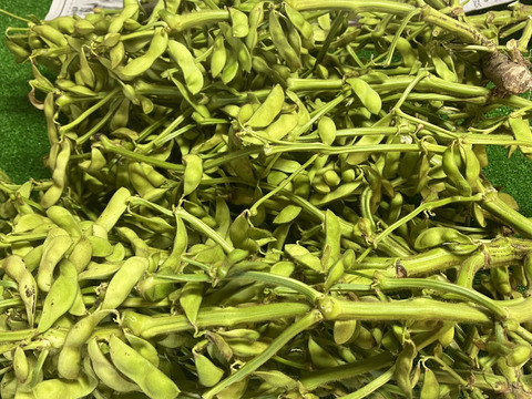【期間限定】黒大豆えだまめ【秋の味！】