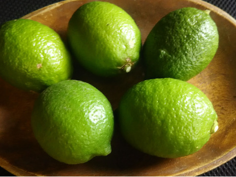 美温活💕💕💕💕自然栽培のレモンつき🍋🍋【数量限定】子供に食べさせたい（５品目～７品目）😋🍚ばぁばのモノスゴイ野菜🍅🍆🌽✨✨✨