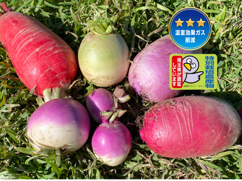 限定5セット【ゲン担ぎ福袋】『福来い！』旬菜セット【自然栽培🍀固定種100サイズ】朝採り新鮮！（３〜５人様向け）