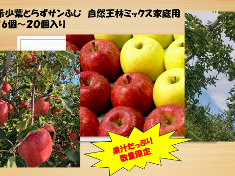 青森県産りんご　【冬限定】【数量限定】家庭用希少葉取らずサンふじ、王林約5kg　16個〜20個入り