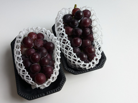 ぶどう（藤稔）4房