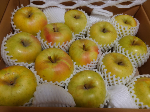 【販売開始！】青森県産りんご「ぐんま名月」家庭用 キズ有 約5kg 【光センサー選果・高リピート率】