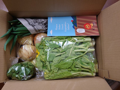 2〜4名様向け野菜セット／旬の野菜7種