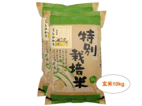 【玄米10kg】残留農薬ゼロ!情熱の結晶!つぶ感が人気の信州産こしひかり(5kg×2袋) 令和2年産