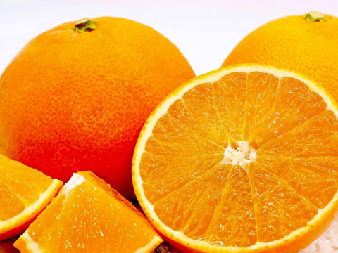 【まるでゼリー？！】まどんな 5kg【冬ギフト】