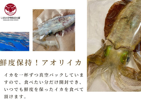 【獲れたて新鮮】長崎五島産・アオリイカ500g（冷凍）漁師直送・獲れ次第発送！