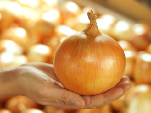 【数量限定】ジャガイモ（インカのめざめ）＆淡路島玉ねぎ　合計5キロセット