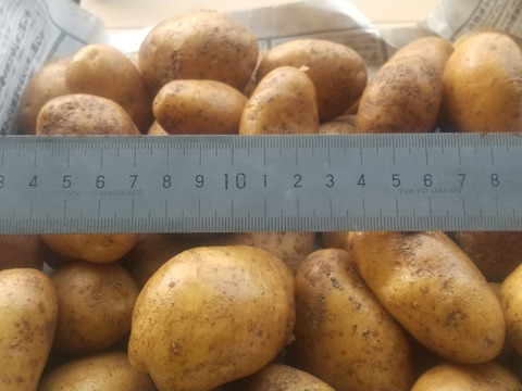丹波産　自然栽培黒枝豆（1kg）+　自然栽培　ジャガイモ　1.8ｋg（北海黄金）　※ともに簡易包装でのお届け