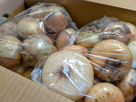 《自然栽培・食品ロス》淡路島産 人に優しい玉ねぎ「食べ比べ」セット5 kg 【2020年最優秀賞受賞／2022年SDG'sエバンジェリスト認定取得】