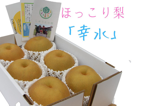 【先行予約!】食べたら心がホッコリ♪ 甘くて大きな梨(品種は幸水)