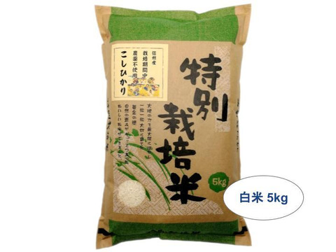 【白米5kg】信州産 農薬不使用米 こしひかり【受注精米】令和2年産