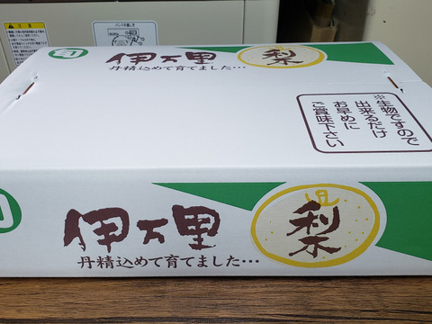【訳あり】幸水梨、5キロダンボール箱🍐家庭用