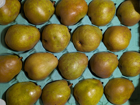 ラ・フランス家庭用