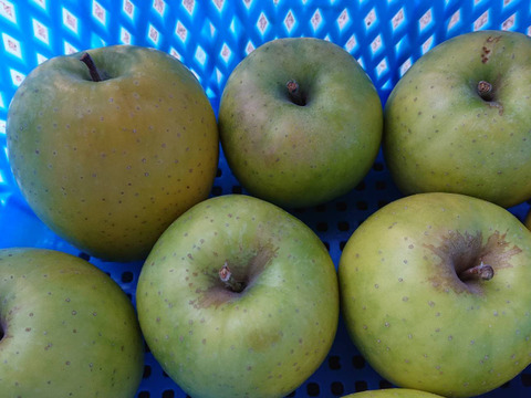 昔懐かし「王林」約3kg入り（名月も甘いけど王林の香りと甘さもぜひ！）お試し下さいませ。