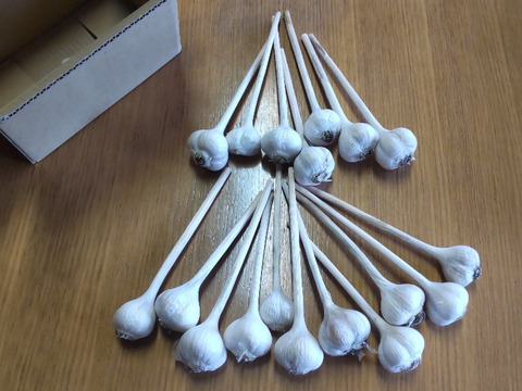 黒ニンニク作ろう
