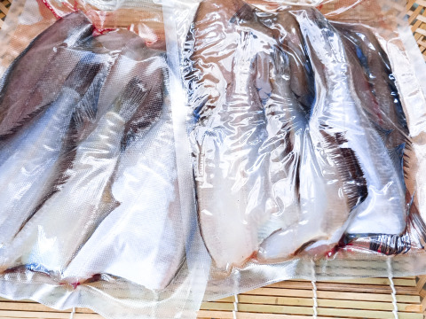【訳あり】山形県庄内沖　カレイ干物詰め合わせ　冷凍　２パック