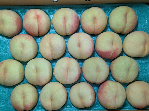 桃あかつき20玉小サイズ