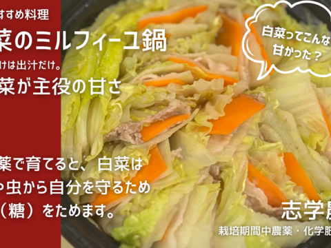我が子に食べさせたい野菜を｜志学農
園の白菜 3玉（約5kg）栽培期間中農薬・化学肥料不使用