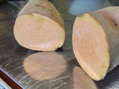 【自然栽培】オレンジ色のサツマイモ　お菓子作りに！！（土付き）