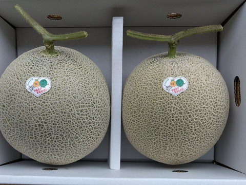 【数量限定】熊本産アールスメロン 1.8Kg~2Kg/2個入(送料別)