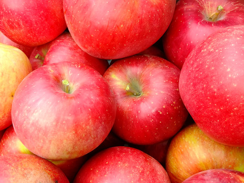 りんご 採れたてシナノスイート 約3kg 家庭用