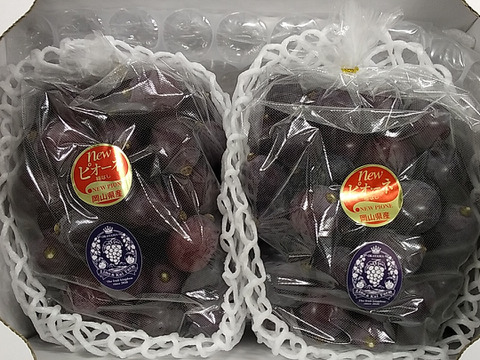 大量入荷の為、衝撃超お得価格！！岡山県産【ニューピオーネ】優品　8房 5kg！！ npn06.jpg