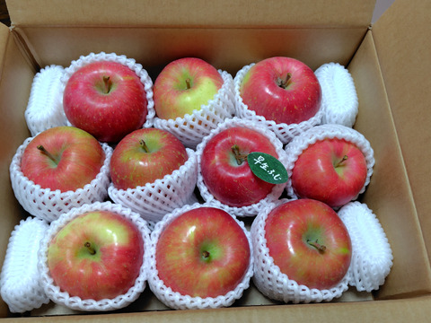 【人気品種】🍎早生ふじ約3キロ🍎8〜12玉《家庭用》ID284719